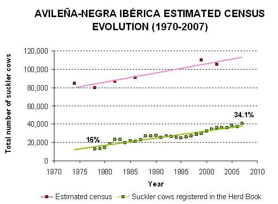 Avilena_evolution